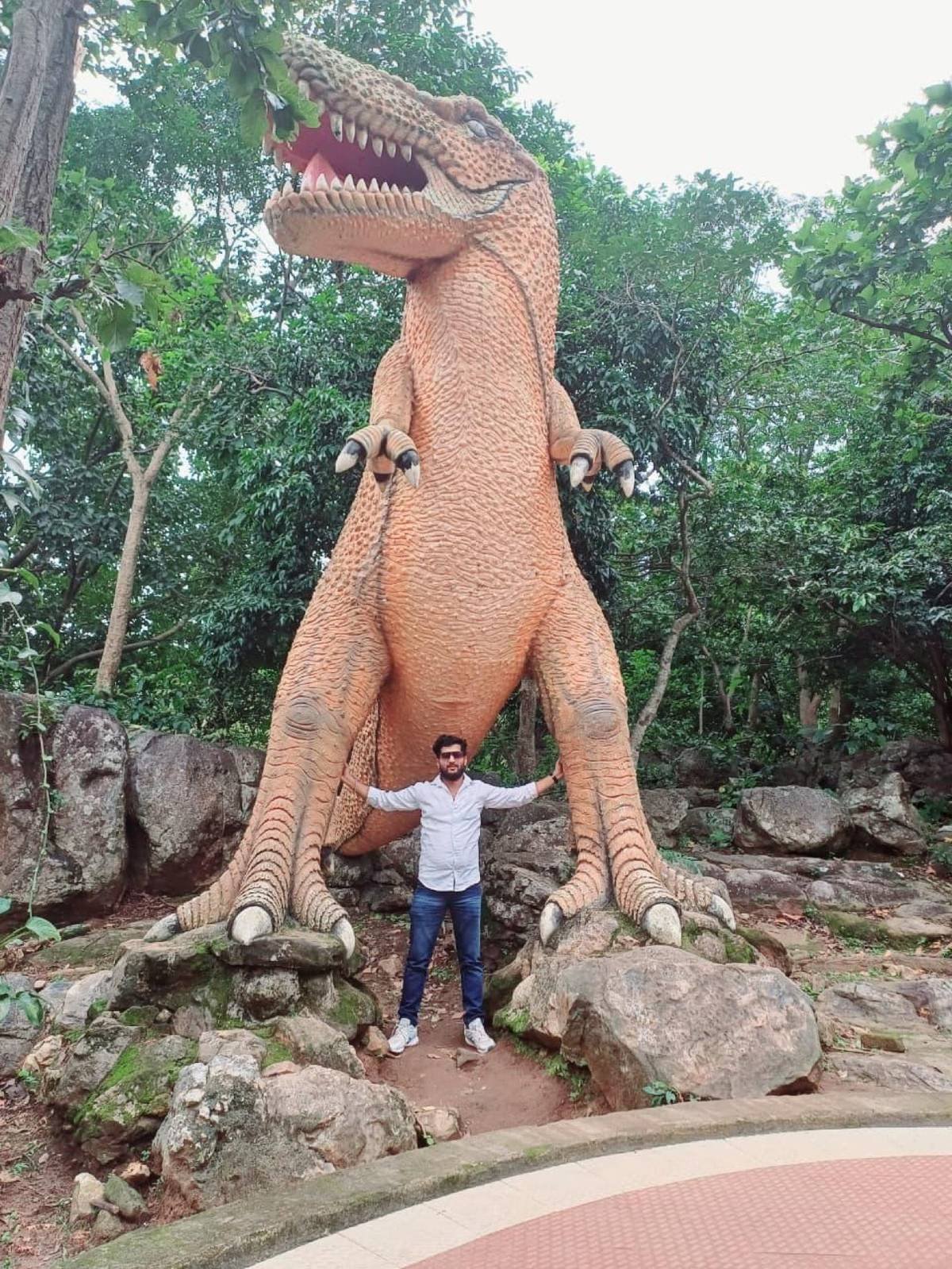 Traveller posing on tour